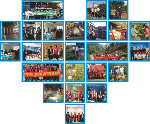 1565401615129069.png 公司圖片.png