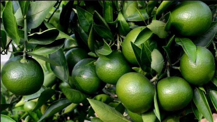 1565689655920707.jpg timg (8).jpg