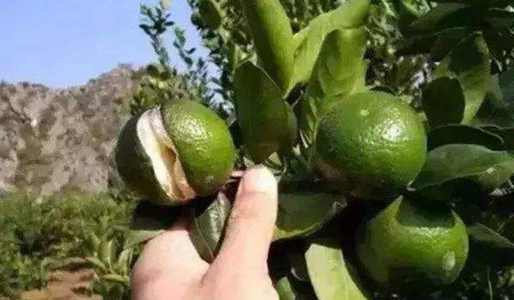 1565689682112579.jpg timg (9).jpg