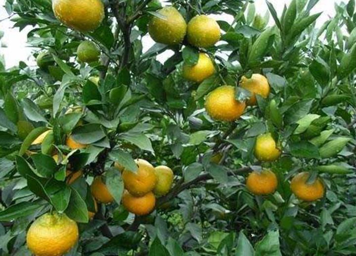 1565689690231338.jpg timg (10).jpg