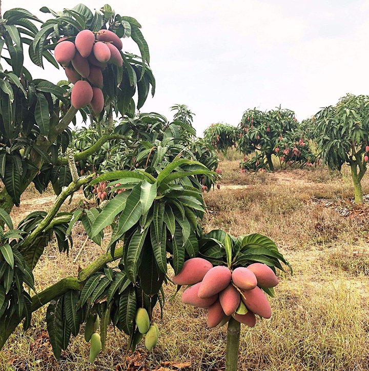 1565928095116616.jpg timg.jpg