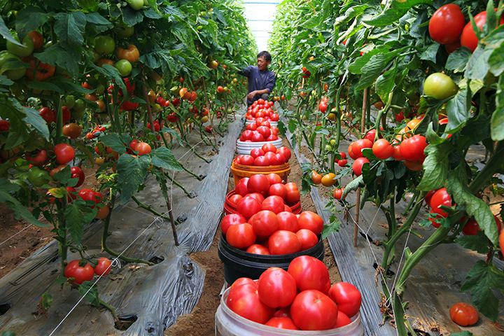 1565941095104408.jpg timg (5).jpg