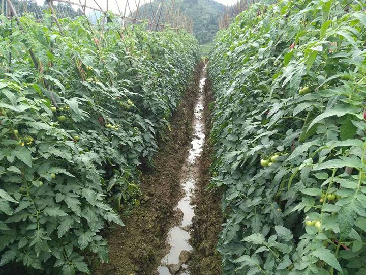 1565941103485957.jpg timg (7).jpg