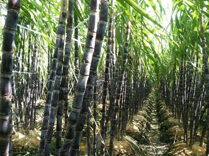 1565942422116168.jpg timg (8).jpg