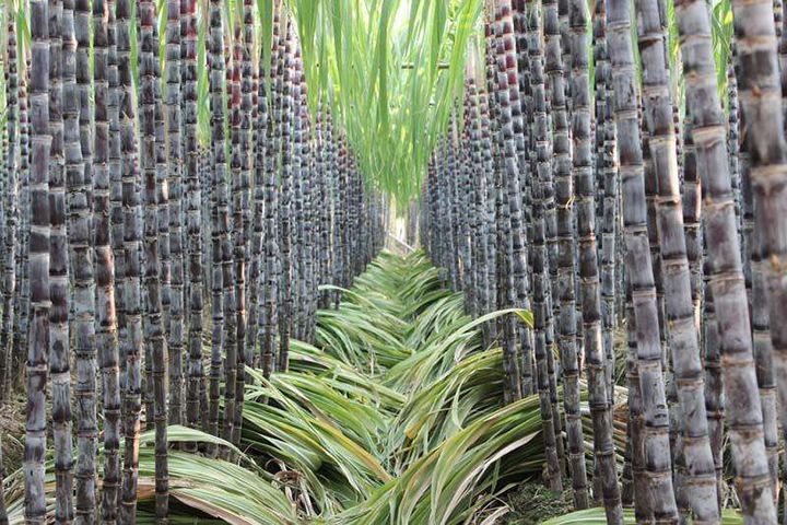 1565942435450284.jpg timg (2).jpg