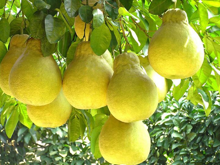 1565943182720782.jpg timg.jpg