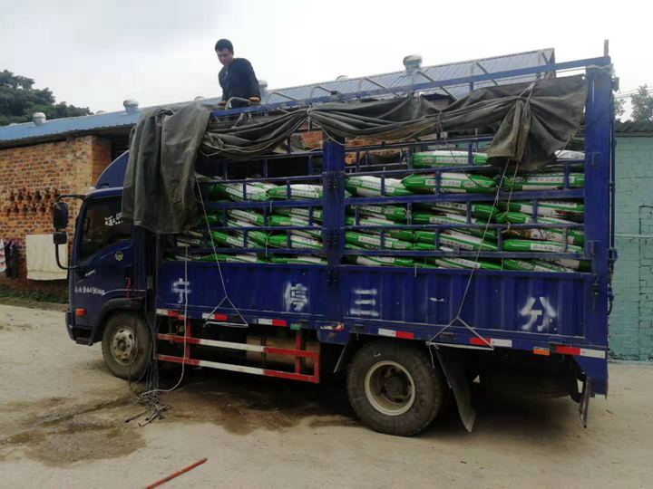 1566285084103663.jpg 20190820101335_a.jpg