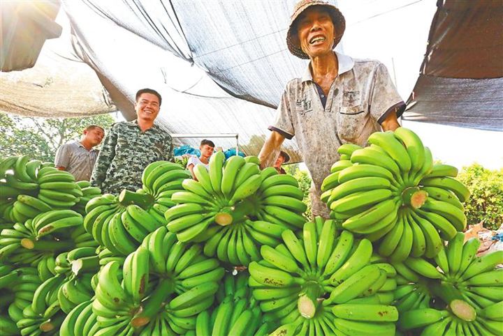 1566295286370331.jpg timg (13).jpg