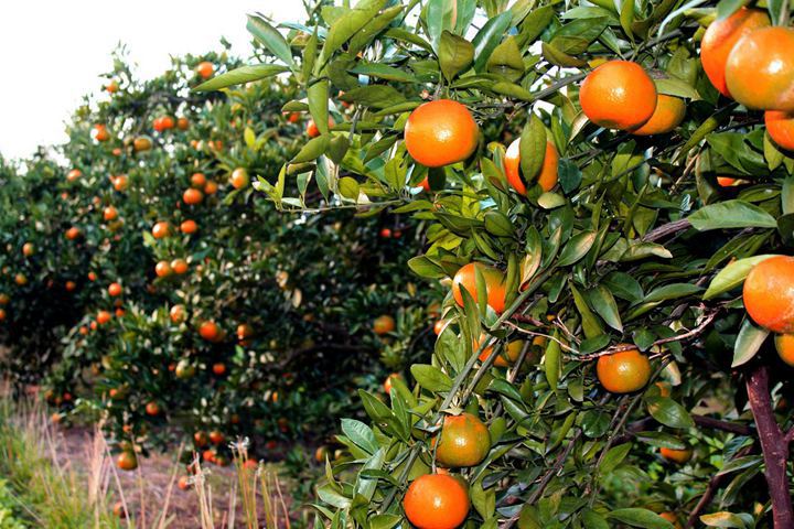 1566295328776207.jpg 012.jpg