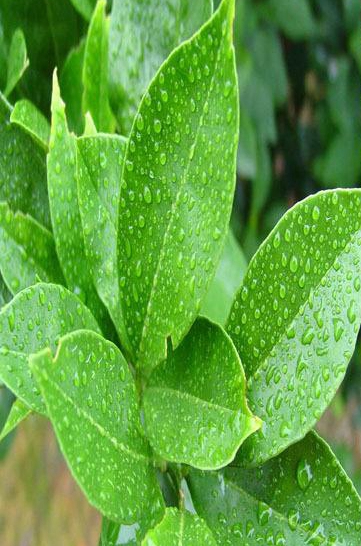 1570697844106279.jpg timg (6).jpg