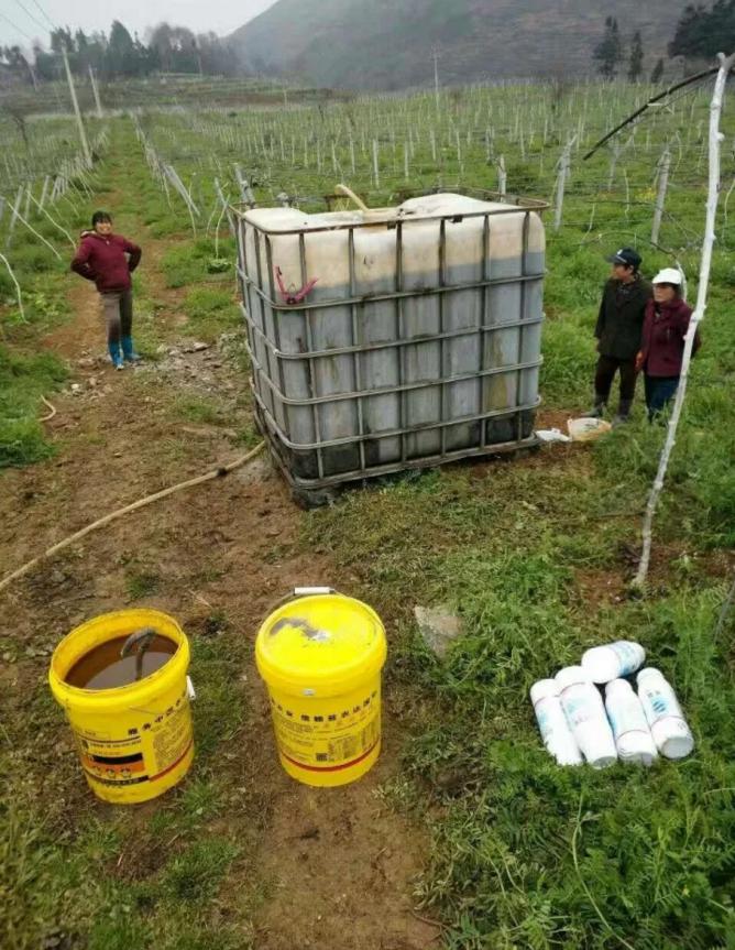 1570761047271788.jpg 圖片6.jpg