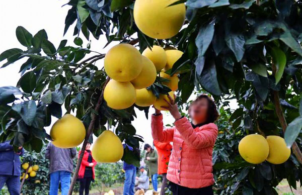 1571640556699395.jpg 148.jpg