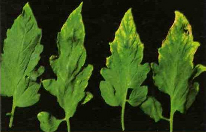 1571736531101585.jpg 圖片3.jpg