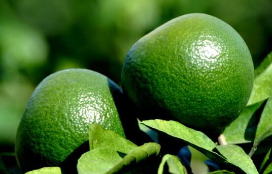 1591924763946580.jpg 微信圖片_20200611103519.jpg